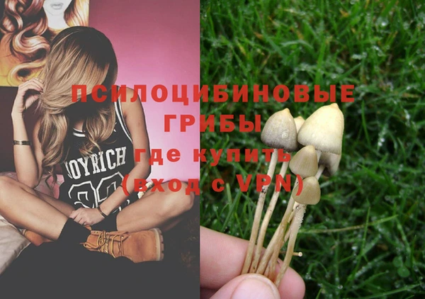 прущие крисы Богородицк