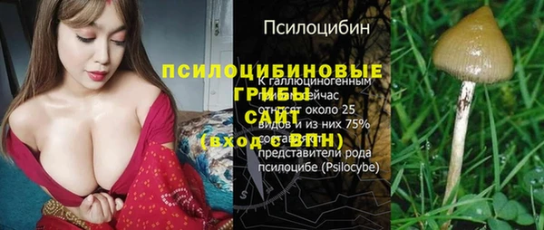 твердый Богородск