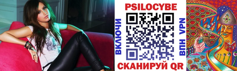 Галлюциногенные грибы мицелий  Дятьково 